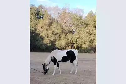 1014 Fire Hill Road, Walterboro, SC 29488 - Photo 146