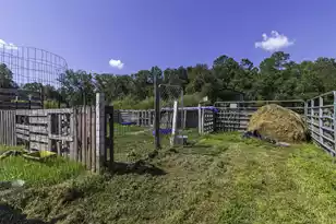 1014 Fire Hill Rd, Walterboro, SC 29488 - Photo 138