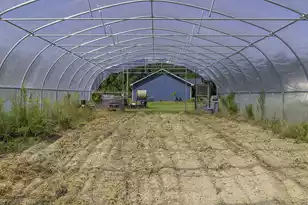 1014 Fire Hill Rd, Walterboro, SC 29488 - Photo 130