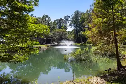 5568 Jenks Montgomery Road, Ravenel, SC 29470 - Photo 4