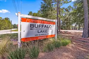 238 Bird Song Path, Summerville, SC 29485 - Photo 58