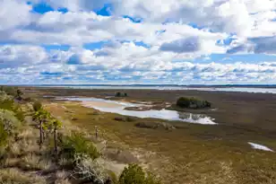 2336 Minifarm Wy, Mount Pleasant, SC 29466 - Photo 114