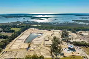 2336 Minifarm Wy, Mount Pleasant, SC 29466 - Photo 84