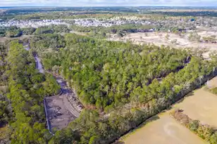 2336 Minifarm Wy, Mount Pleasant, SC 29466 - Photo 122