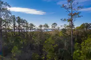 2336 Minifarm Wy, Mount Pleasant, SC 29466 - Photo 112