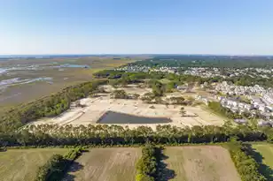 2336 Minifarm Wy, Mount Pleasant, SC 29466 - Photo 82