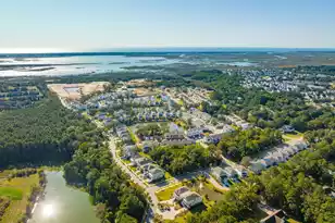 2336 Minifarm Wy, Mount Pleasant, SC 29466 - Photo 52