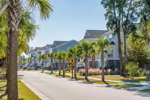 2336 Minifarm Wy, Mount Pleasant, SC 29466 - Photo 96