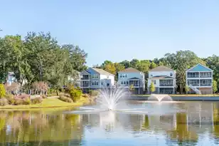 2336 Minifarm Wy, Mount Pleasant, SC 29466 - Photo 72