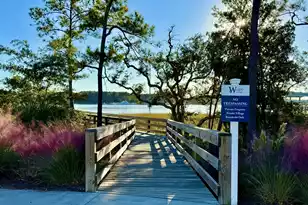 116 Low Tide Ct, Charleston, SC 29492 - Photo 50