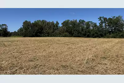 0 Clarks Hill Drive #8, Saint George, SC 29477 - Photo 2