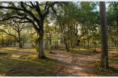 0 Haswell Street, Daniel Island, SC 29492 - Photo 8