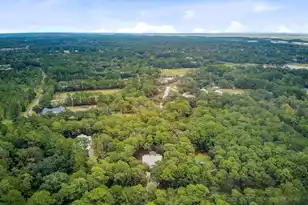 10088 Hercules Rd, McClellanville, SC 29458 - Photo 42