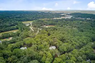 10088 Hercules Rd, McClellanville, SC 29458 - Photo 44