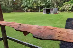 185 Moncks Corner Rd, Eutawville, SC 29048 - Photo 38