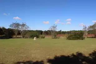 756 Santee River Rd, Santee, SC 29142 - Photo 12