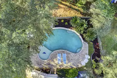 1393 Black River Drive, Mount Pleasant, SC 29466 - Photo 42
