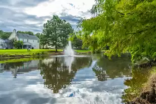 3221 John Bartram Pl, Mount Pleasant, SC 29466 - Photo 24