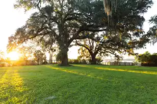 109 Etta Wy, Daniel Island, SC 29492 - Photo 10