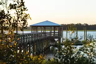 117 Etta Wy, Daniel Island, SC 29492 - Photo 4