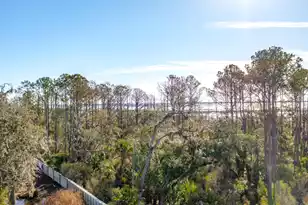 2276 Minifarm Wy, Mount Pleasant, SC 29466 - Photo 34