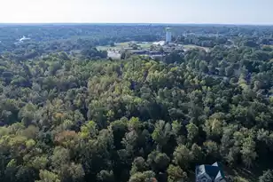 0 Chandler Rd, Greer, SC 29651 - Photo 14