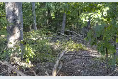 0 Chandler Road, Greer, SC 29651 - Photo 8