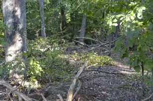 0 Chandler Rd, Greer, SC 29651 - Photo 8