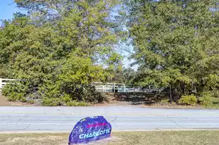 0 Chandler Rd, Greer, SC 29651 - Photo 6