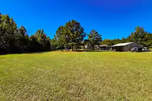 2869 Turkey Cut Rd, Smoaks, SC 29481 - Photo 44
