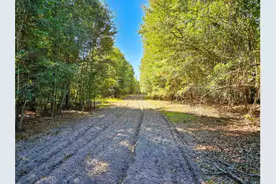 2869 Turkey Cut Road, Smoaks, SC 29481 - Photo 46