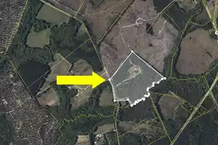 2869 Turkey Cut Rd, Smoaks, SC 29481 - Photo 52