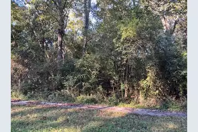 74 Chestnut Avenue, Denmark, SC 29042 - Photo 2
