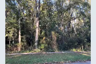 74 Chestnut Avenue, Denmark, SC 29042 - Photo 1