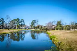 99 Fieldfare Way, Charleston, SC 29414 - Photo 64