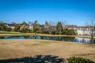 99 Fieldfare Way, Charleston, SC 29414 - Photo 54