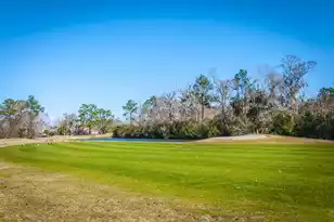 99 Fieldfare Way, Charleston, SC 29414 - Photo 56