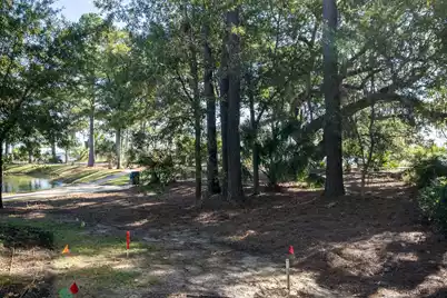 130 River Landing Drive #5101, Daniel Island, SC 29492 - Photo 36