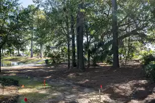 130 River Landing Dr, Daniel Island, SC 29492 - Photo 36