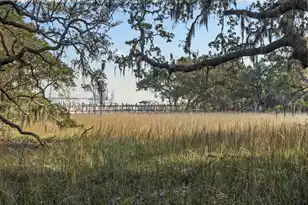 130 River Landing Dr, Daniel Island, SC 29492 - Photo 38