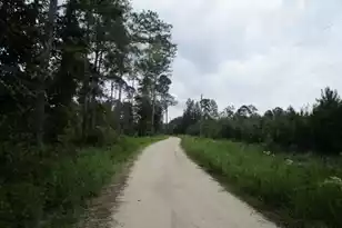 7905 Morris Bing Rd, Hollywood, SC 29449 - Photo 4