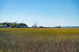 346 Bayview Drive, Mount Pleasant, SC 29464 - Photo 60