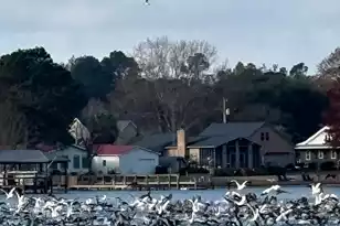 1204 Joyner Dr, Summerton, SC 29148 - Photo 112