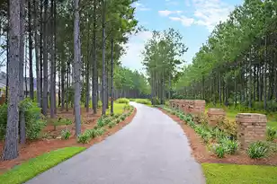 671 Culpepper St, Summerville, SC 29486 - Photo 16