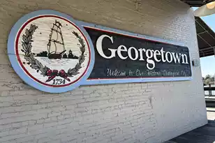 163 Six Mile Crk Dr, Georgetown, SC 29440 - Photo 32