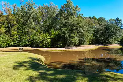 6682 Pepper Grass Trail, Ravenel, SC 29470 - Photo 10