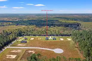 1601 Old River Rd, Elloree, SC 29047 - Photo 38