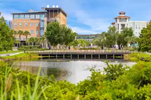 217 Black Powder Ln, Daniel Island, SC 29492 - Photo 72