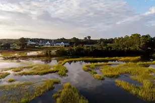 217 Black Powder Ln, Daniel Island, SC 29492 - Photo 60