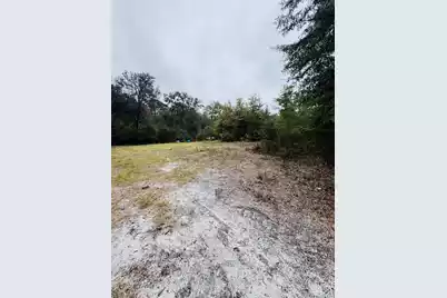 0 Fisk Road, Dorchester, SC 29437 - Photo 6